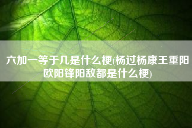 六加一等于几是什么梗(杨过杨康王重阳欧阳锋阳敌都是什么梗)