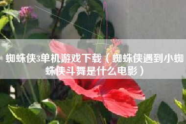 蜘蛛侠3单机游戏下载（蜘蛛侠遇到小蜘蛛侠斗舞是什么电影）