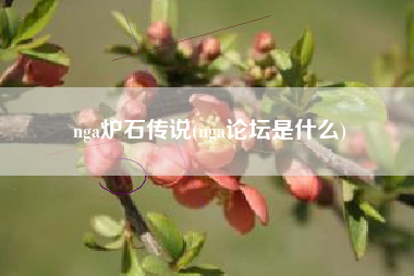 nga炉石传说(nga论坛是什么)