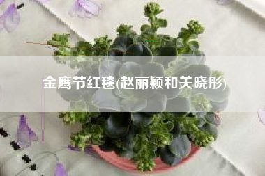 金鹰节红毯(赵丽颖和关晓彤)