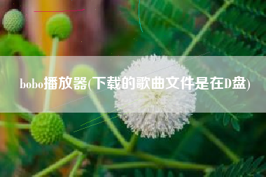 bobo播放器(下载的歌曲文件是在D盘)