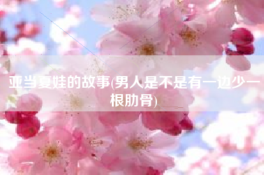 亚当夏娃的故事(男人是不是有一边少一根肋骨)