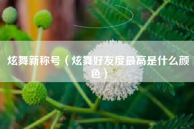 炫舞新称号（炫舞好友度最高是什么颜色）