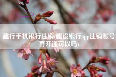 建行手机银行注销(建设银行app注销账号再开通可以吗)