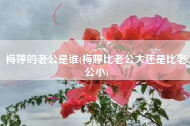 梅婷的老公是谁(梅婷比老公大还是比老公小)