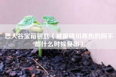 恶人谷宝箱钥匙（被翟晓川弄伤的阿不都什么时候复出）