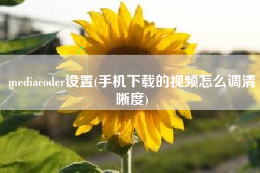 mediacoder设置(手机下载的视频怎么调清晰度)