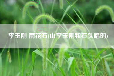 李玉刚 雨花石(由李玉刚和石头唱的)