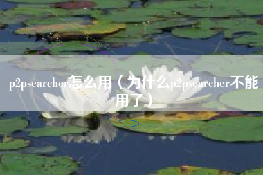 p2psearcher怎么用（为什么p2psearcher不能用了）