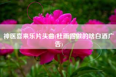 神医喜来乐片头曲(杜雨露做的啥白酒广告)