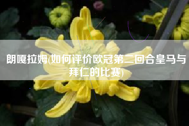 朗嘎拉姆(如何评价欧冠第二回合皇马与拜仁的比赛)