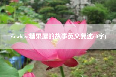 wowbox(糖果屋的故事英文复述60字)