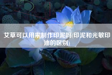 艾草可以用来制作印泥吗(印泥和光敏印油的区别)