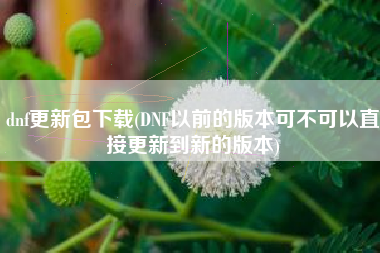 dnf更新包下载(DNF以前的版本可不可以直接更新到新的版本)