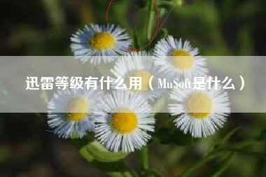 迅雷等级有什么用（MuSoft是什么）