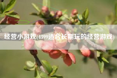 经营小游戏(4399适合长期玩的经营游戏)