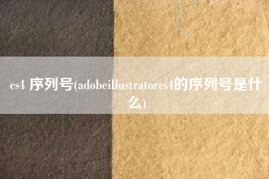 cs4 序列号(adobeillustratorcs4的序列号是什么)