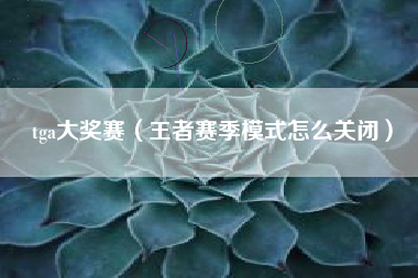 tga大奖赛（王者赛季模式怎么关闭）