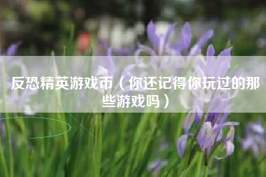 反恐精英游戏币（你还记得你玩过的那些游戏吗）