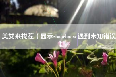 美女来找茬（显示zhaochaexe遇到未知错误）