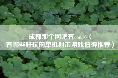 成都那个网吧有cod16（
有哪些好玩的单机射击游戏值得推荐）