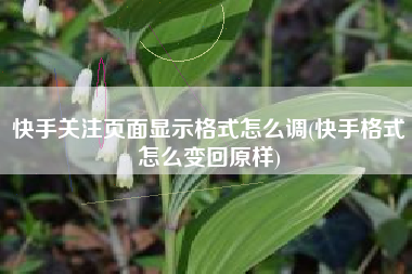 快手关注页面显示格式怎么调(快手格式怎么变回原样)