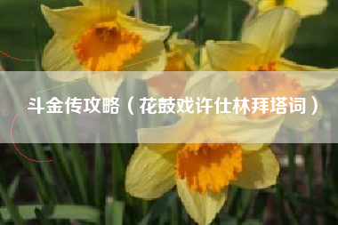 斗金传攻略（花鼓戏许仕林拜塔词）