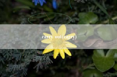 carry out(carry)