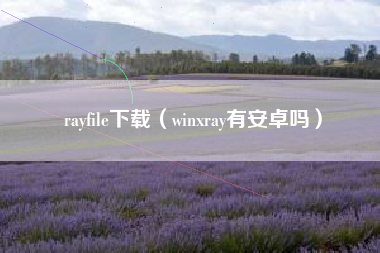 rayfile下载（winxray有安卓吗）