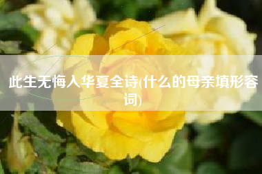 此生无悔入华夏全诗(什么的母亲填形容词)