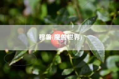 穆鲁(魔兽世界)