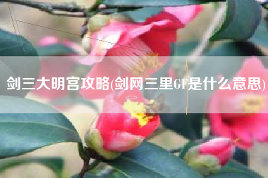 剑三大明宫攻略(剑网三里GF是什么意思)