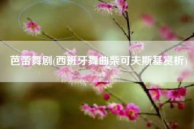 芭蕾舞剧(西班牙舞曲柴可夫斯基赏析)