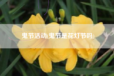 鬼节活动(鬼节是花灯节吗)