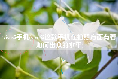 vivos5手机(vivoS5这款手机在拍照方面有着如何出众的水平)