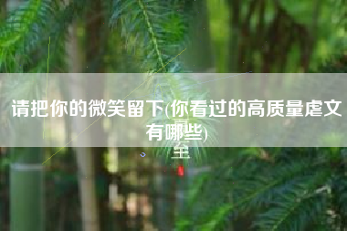 请把你的微笑留下(你看过的高质量虐文有哪些)