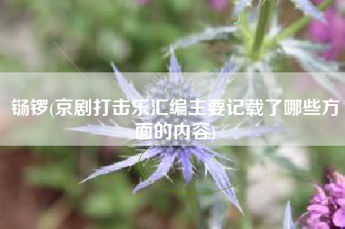 铴锣(京剧打击乐汇编主要记载了哪些方面的内容)