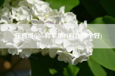 压感纸(plus和苹果11对比哪个好)