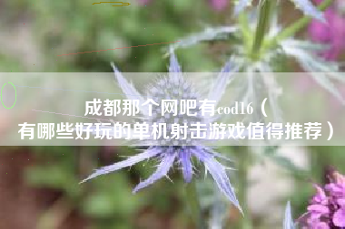 成都那个网吧有cod16（
有哪些好玩的单机射击游戏值得推荐）