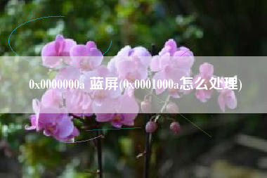 0x0000000a 蓝屏(0x0001000a怎么处理)