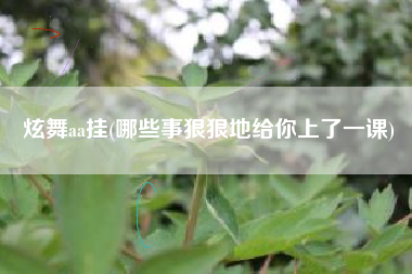 炫舞aa挂(哪些事狠狠地给你上了一课)