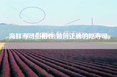 海鲜寿司街相性(如何正确的吃寿司)