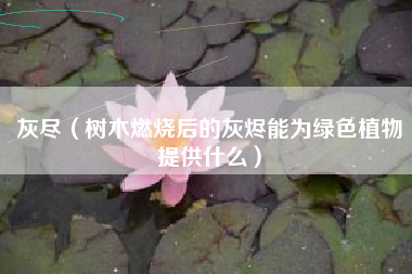 灰尽（树木燃烧后的灰烬能为绿色植物提供什么）