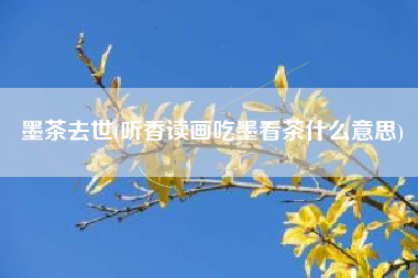 墨茶去世(听香读画吃墨看茶什么意思)