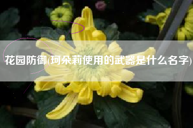 花园防御(珂朵莉使用的武器是什么名字)