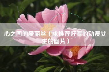 心之国的爱丽丝（求推荐好看的动漫女生的图片）