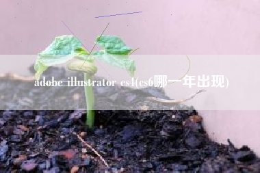 adobe illustrator cs4(cs6哪一年出现)