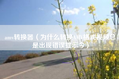 amv转换器（为什么转换AMV格式视频总是出现错误提示今）