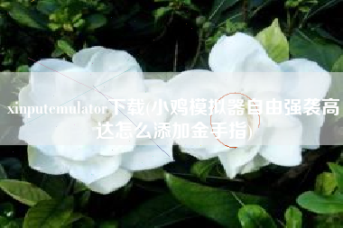 xinputemulator下载(小鸡模拟器自由强袭高达怎么添加金手指)