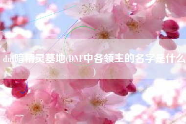 dnf暗精灵墓地(DNF中各领主的名字是什么)